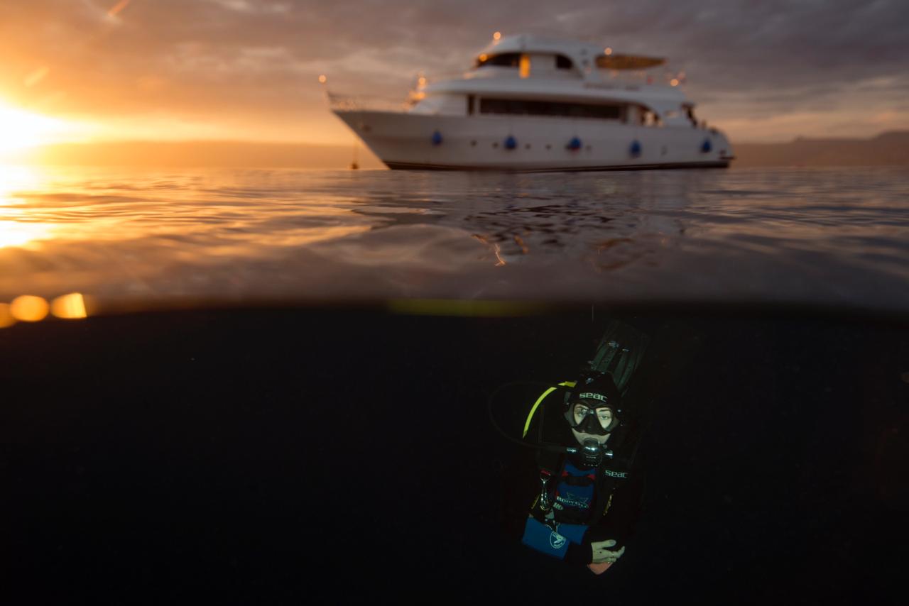 Individuals, couples, families and small groups Scuba Diving holidays aqaba