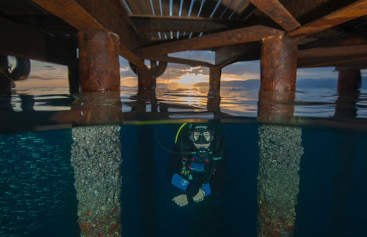 Open Water Diver Certification